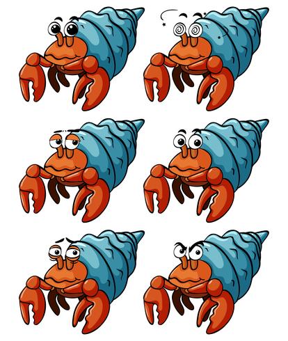 Hermit crabs with different emotions vector