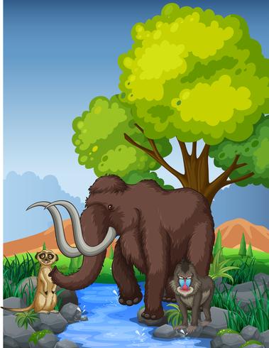 Mamut y suricata junto al río. vector