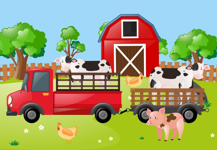 Farm scene with cows on the truck vector