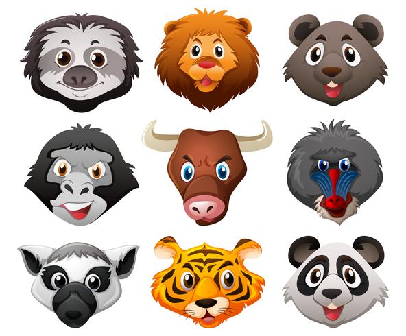 Different faces of wild animals vector