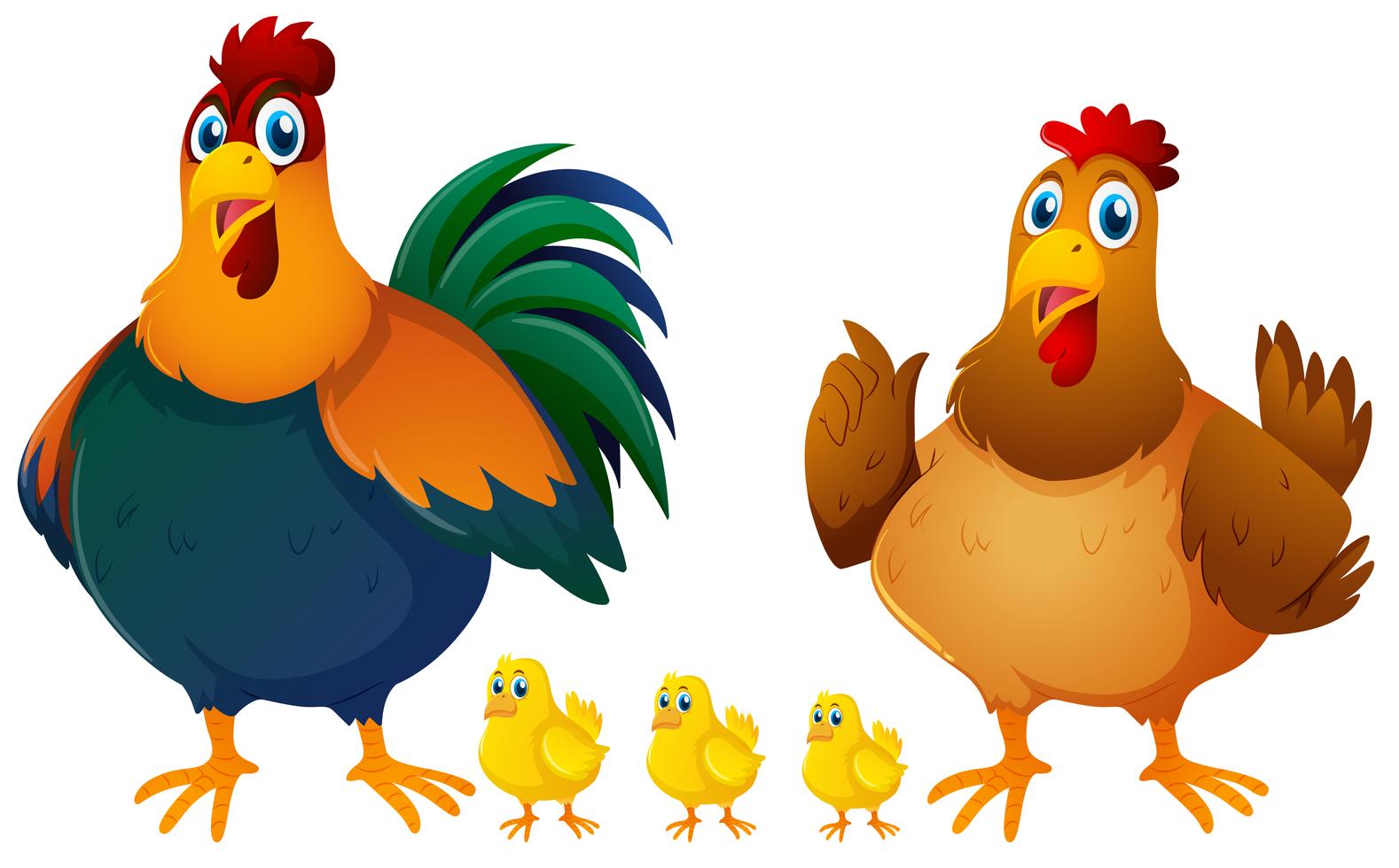 Chicken family with three chicks 368925 Vector Art at Vecteezy