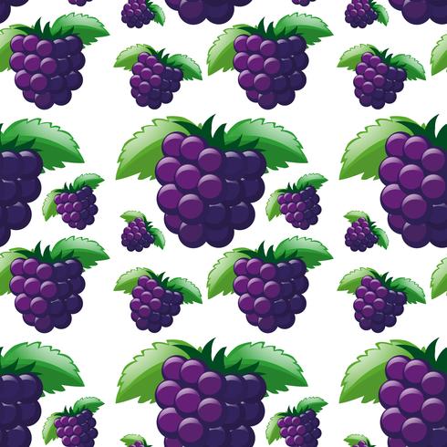 Seamless background with blackberries vector