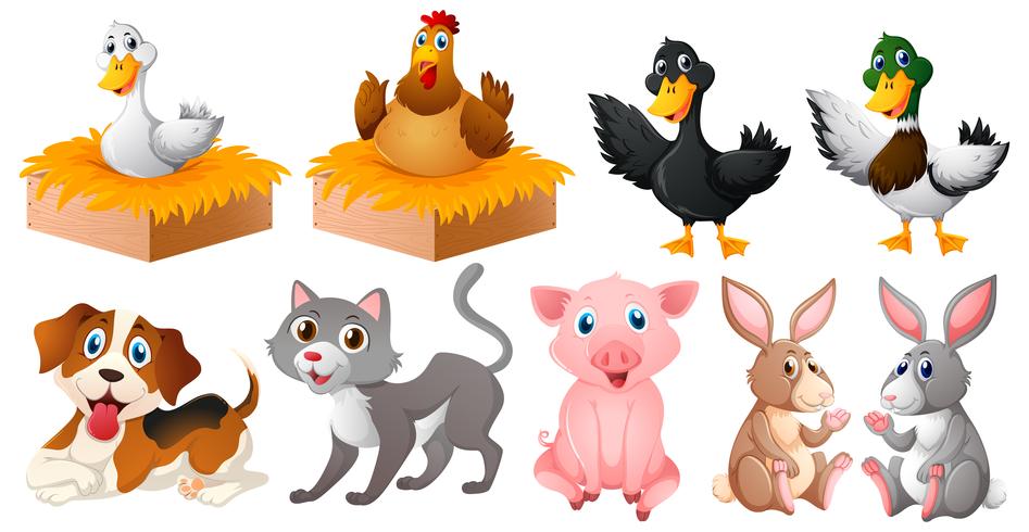 Diferentes tipos de animales de granja. vector