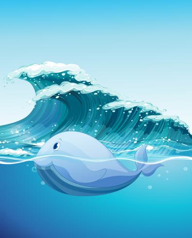 Dolphine swimming under the sea vector