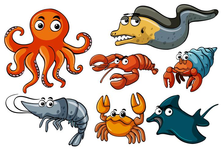 Different kinds of sea wildlife vector