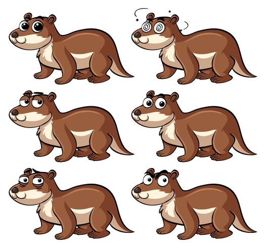 Beaver with different emotions