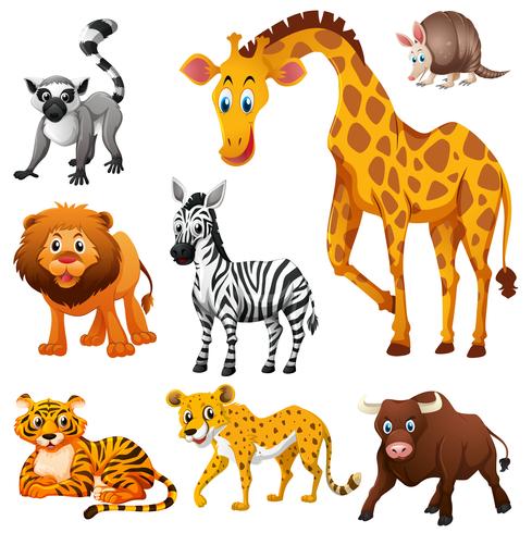 Different kinds of wild animals vector