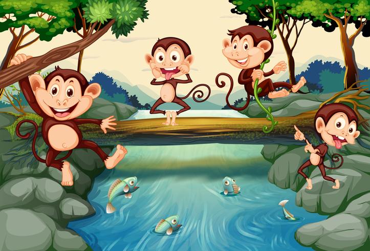 Four monkeys by the river