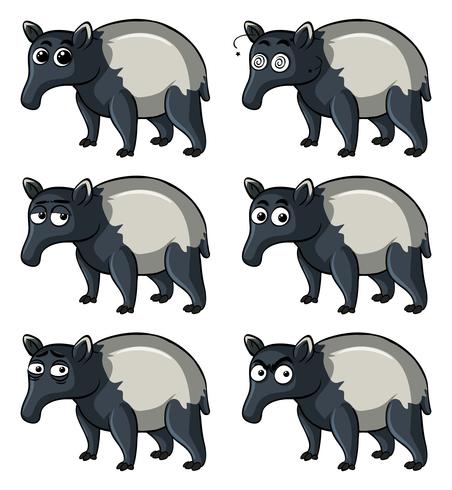 Tapir con diferentes emociones. vector