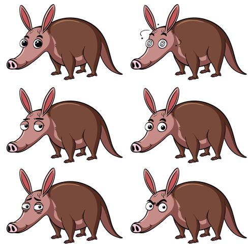 Animal salvaje con caras diferentes. vector