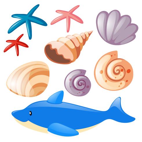 Ocean set with starfish and shells vector