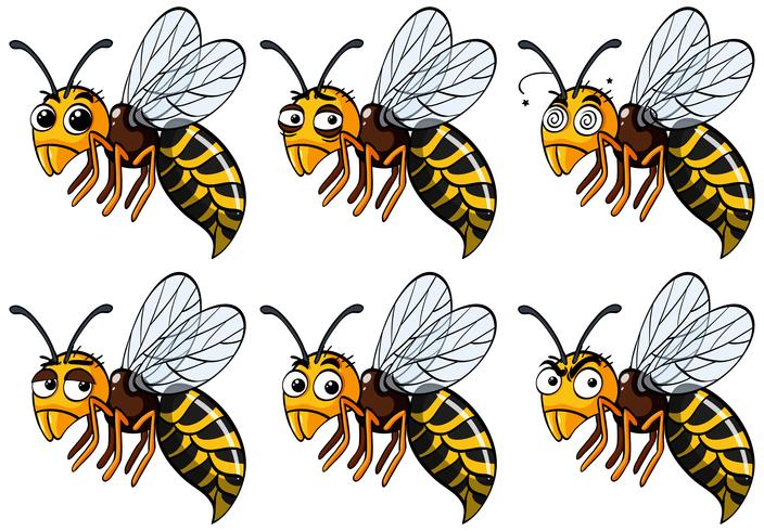 Wasps with different emotions vector