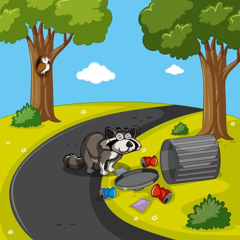 Raccoon searching trash in park vector