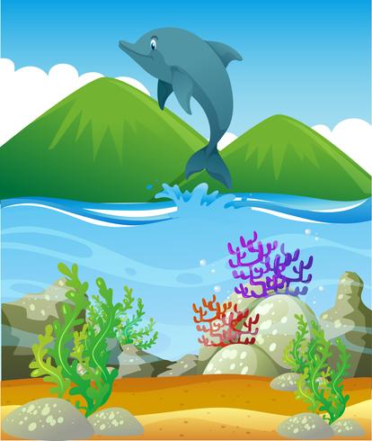 Dolphin jumping in the ocean vector