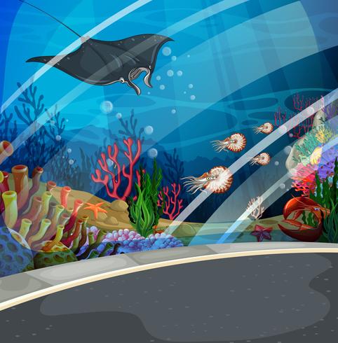 Aquarium with stingray swimming  vector