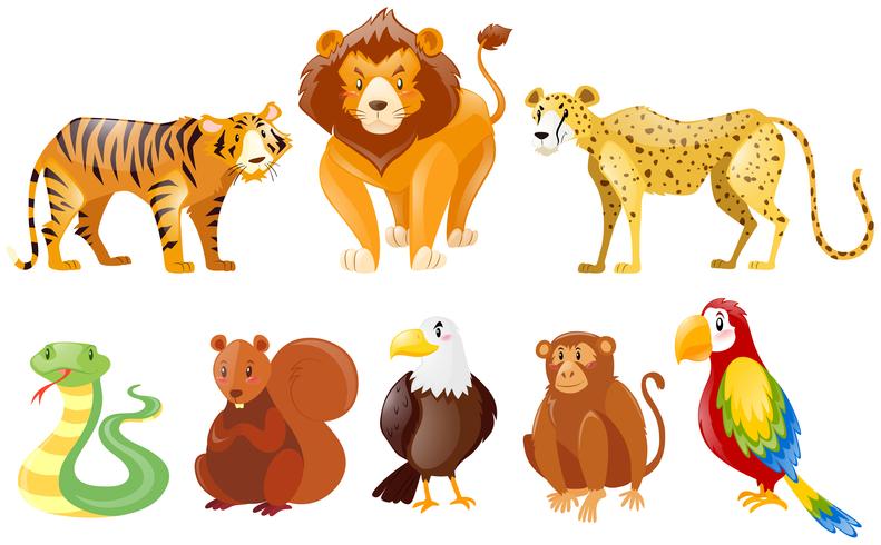 Conjunto de diferentes animales salvajes. vector