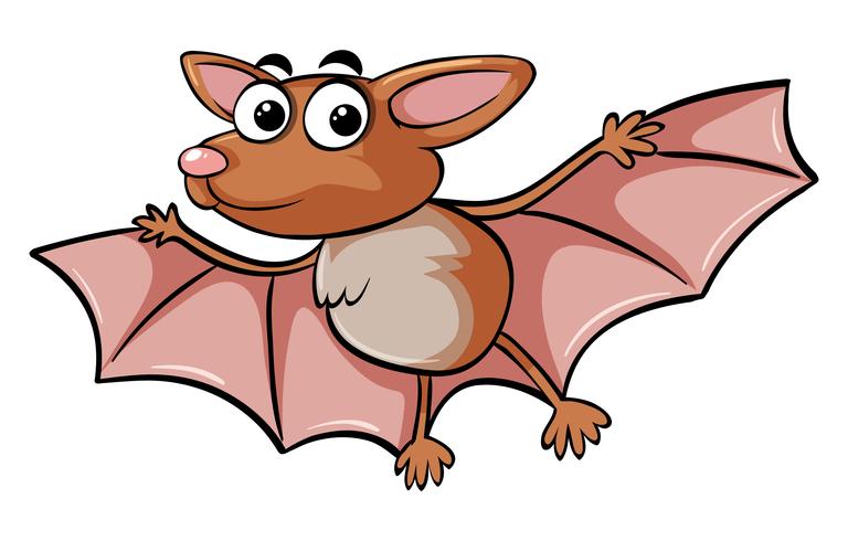 Bat with happy face vector