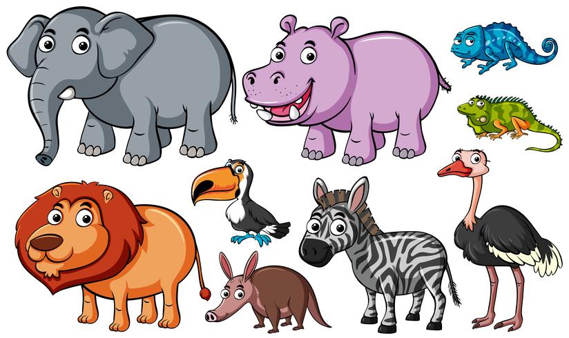 Different kinds of animals on white background vector