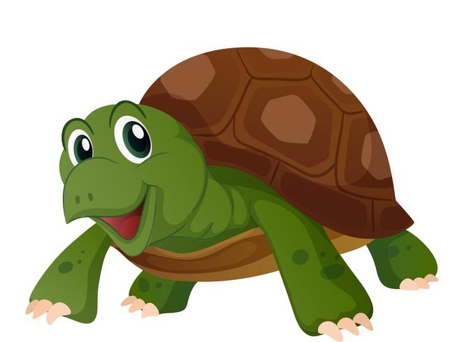 Linda tortuga con cara feliz vector