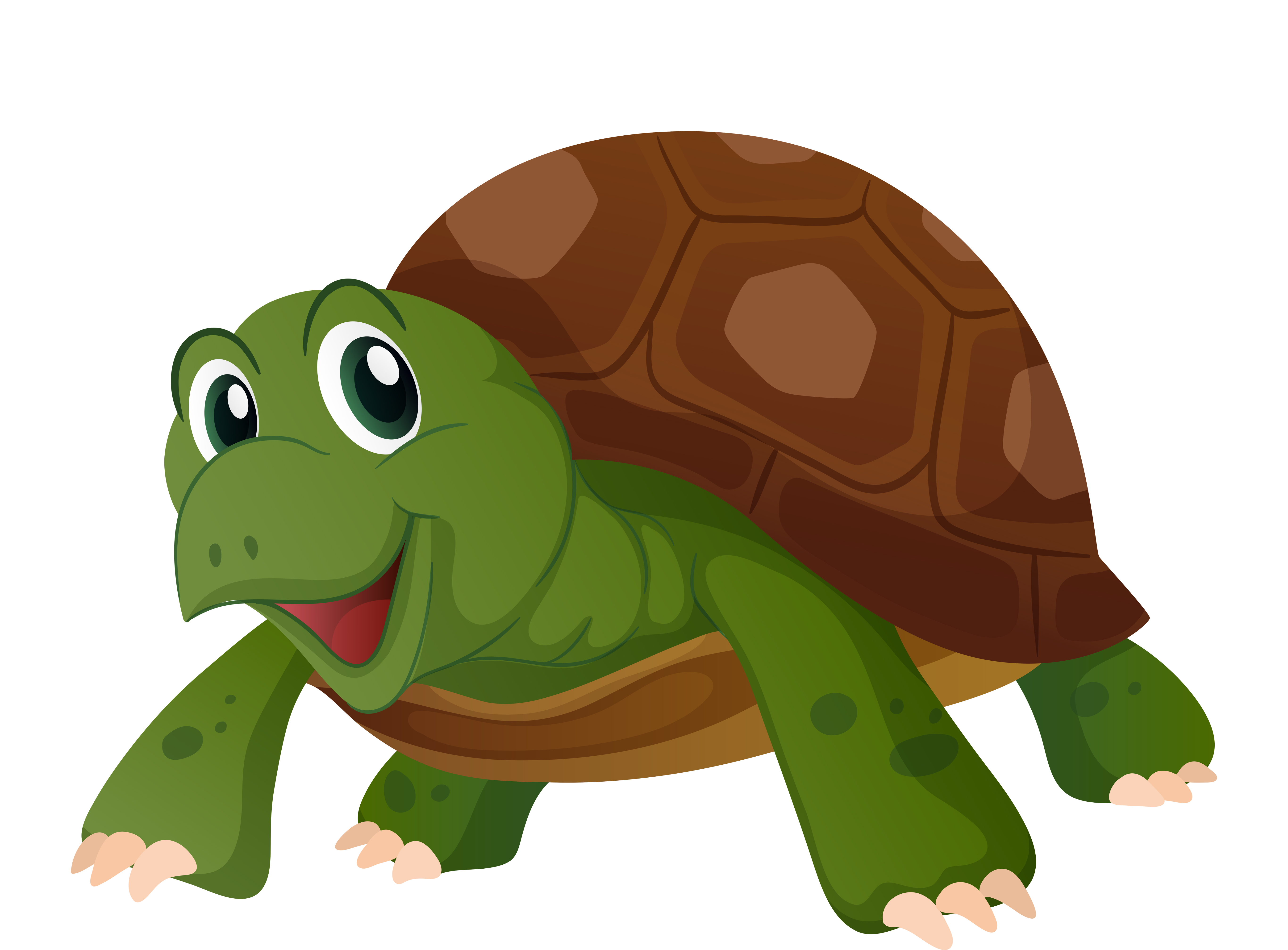 Cute turtle with happy face 369176 Vector Art at Vecteezy