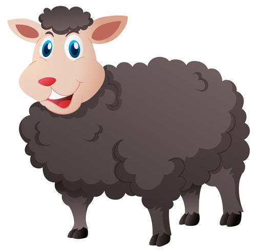 Cute black sheep on white background vector