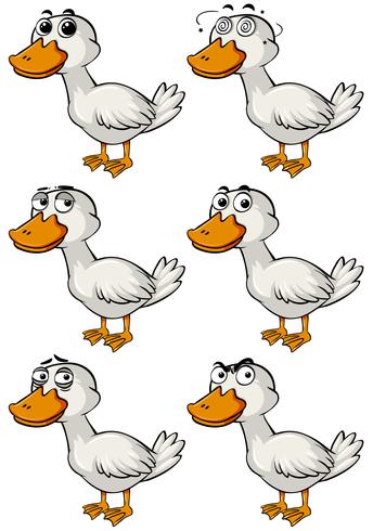 Pato con diferentes emociones faciales. vector