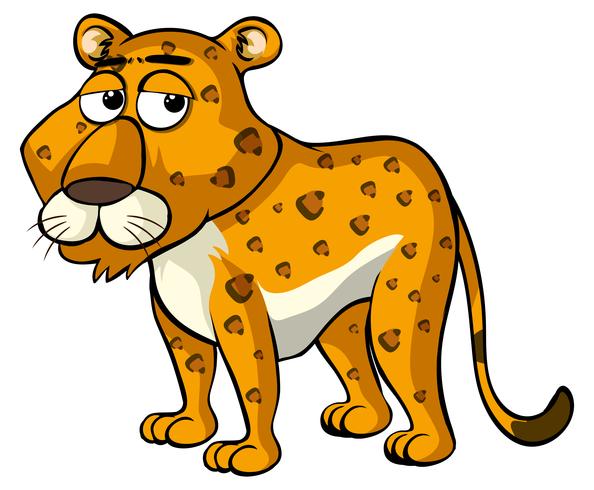 Cheetah with sleepy eyes vector