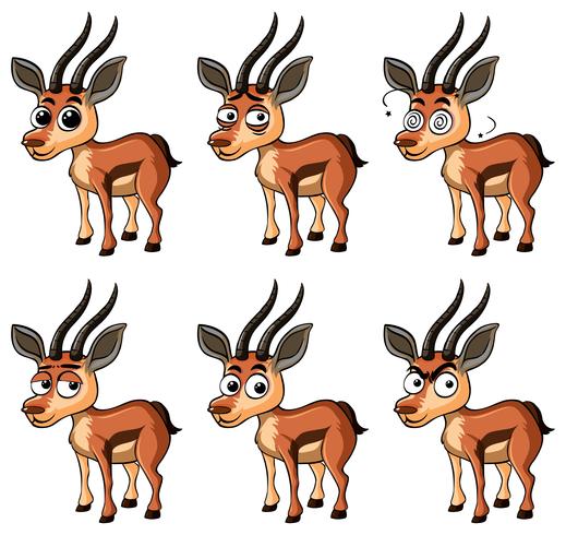 Gazelle with different facial expressions vector