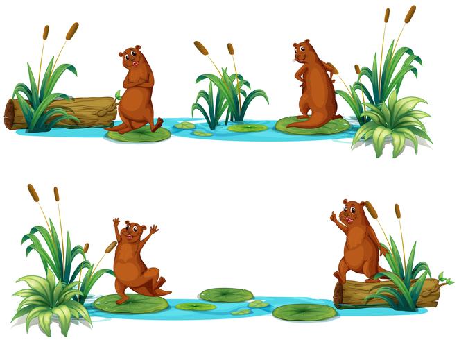 Beavers living by the pond vector