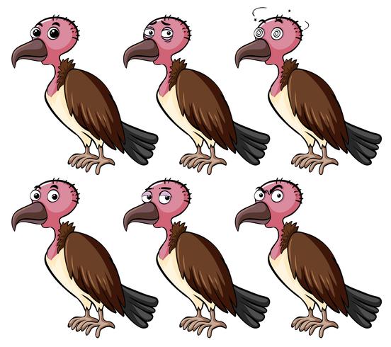 Vulture with different facial expressions vector