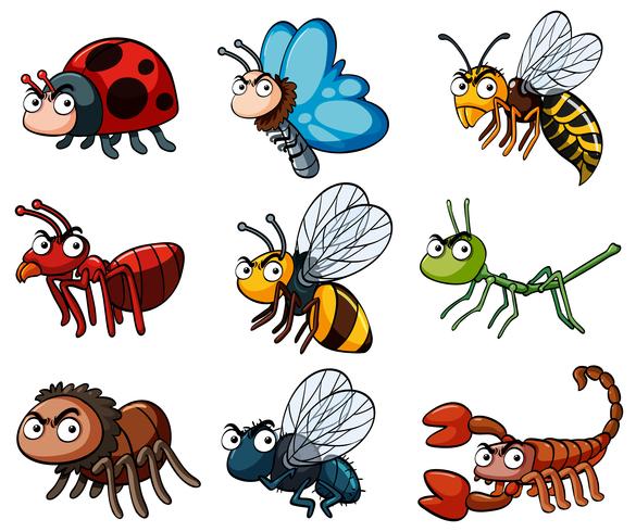 Different types of wild insects vector