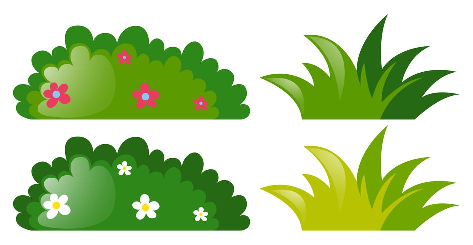 Cuatro arbustos con y sin flores. vector