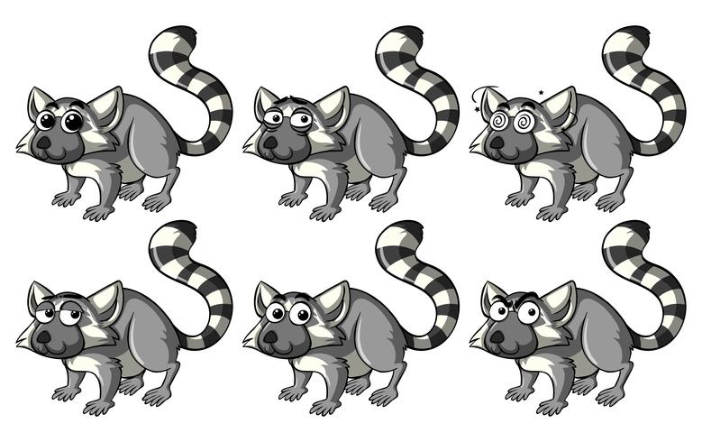 Lemur con diferentes emociones. vector