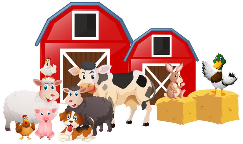 Farm animals in the barn vector