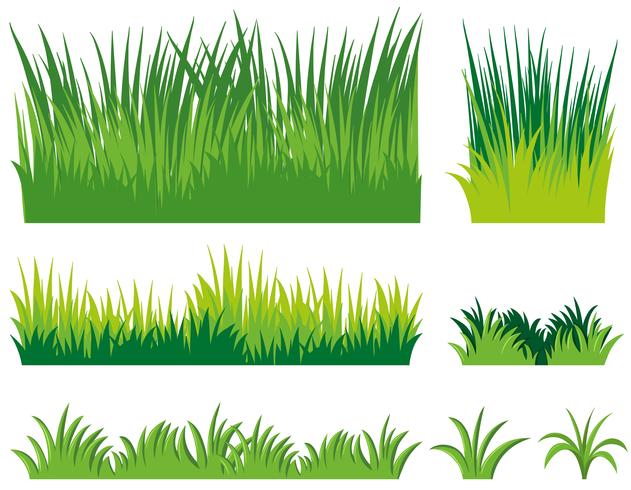 Diferentes garabatos de hierba vector