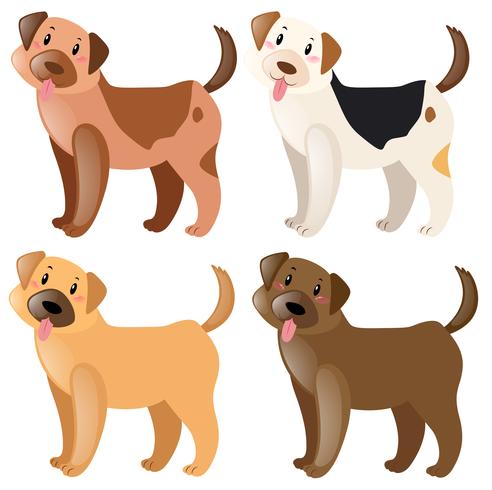 Cuatro perros con diferentes colores de piel. vector