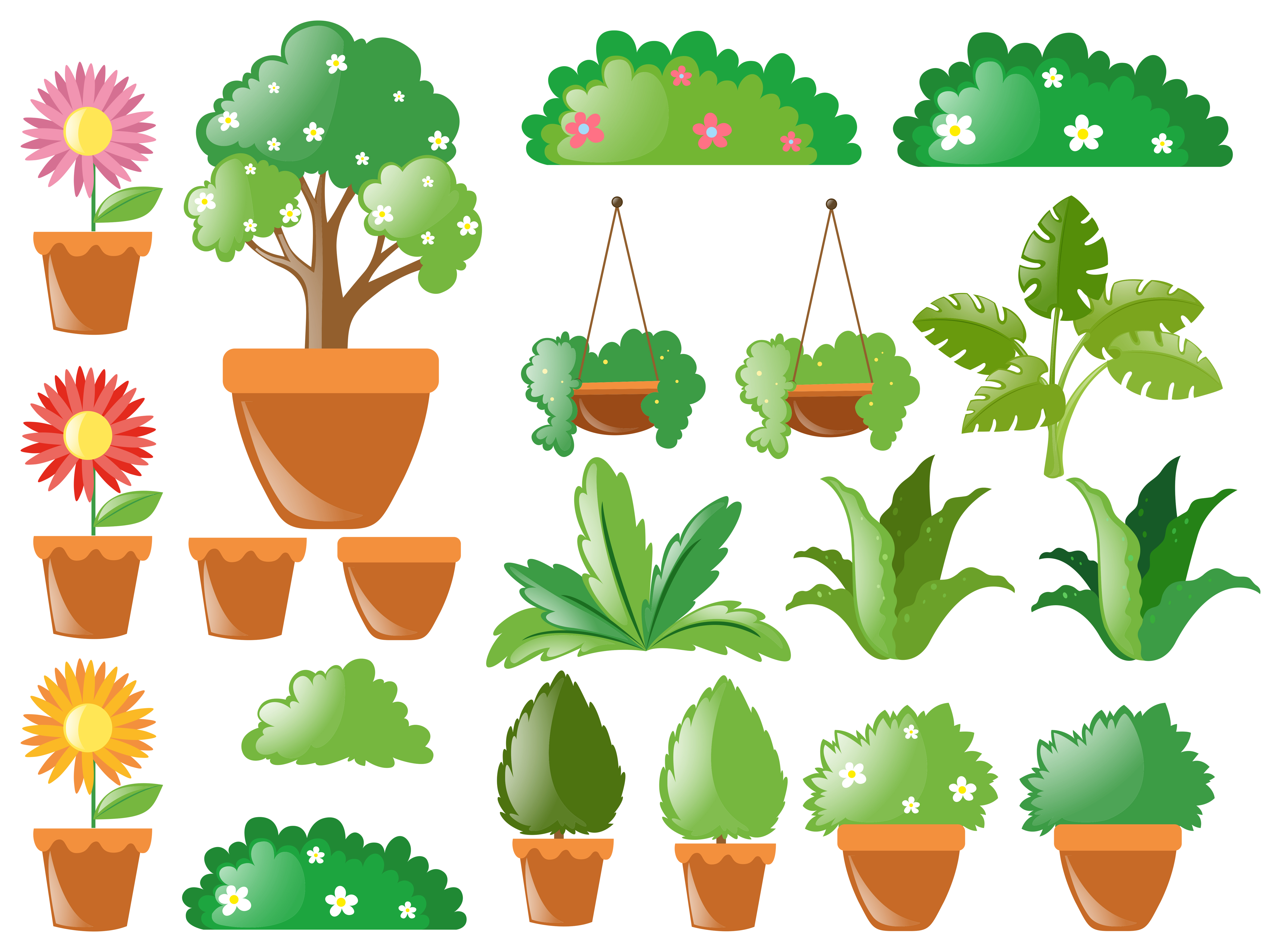 Different types of plants 369317 Vector Art at Vecteezy