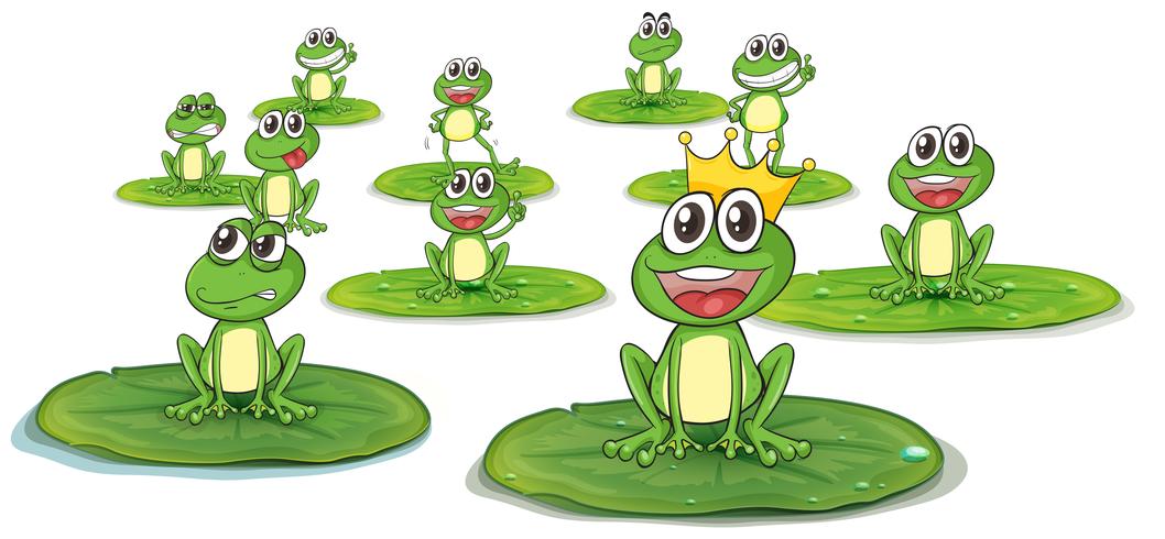 Happy frogs on lotus leaves vector