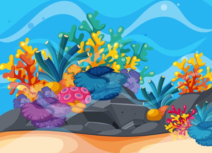 Background scene with coral reef underwater vector