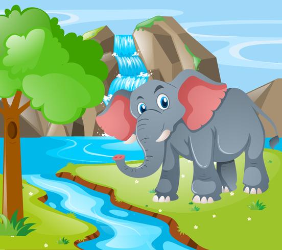 Wild elephant by the waterfall vector