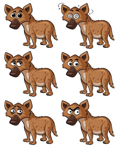 Hyena with different facial expressions vector