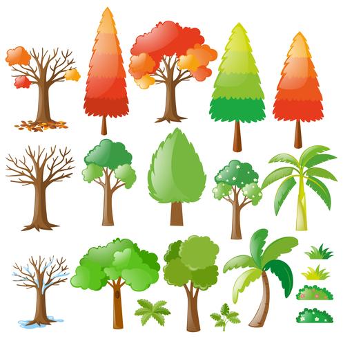 Trees in different seasons vector