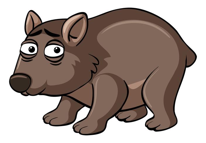 Wombat with unhappy face vector