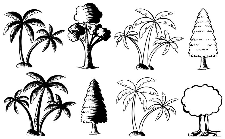 Different types of trees vector