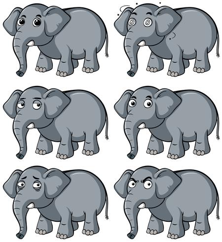 Elefante salvaje con diferentes expresiones faciales. vector