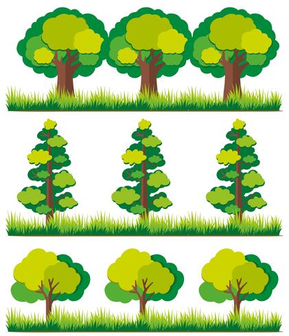 Seamless background with trees on grass vector