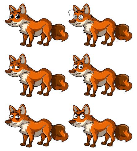 Fox with different facial expressions vector