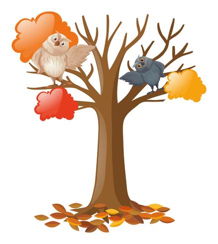 Two owls on the tree vector