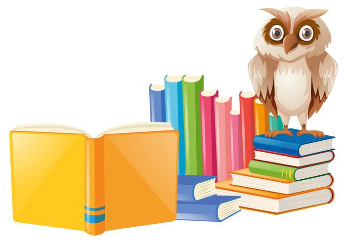 Brown owl and many books vector