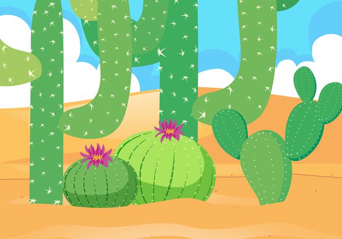 Campo desértico con hermoso cactus. vector